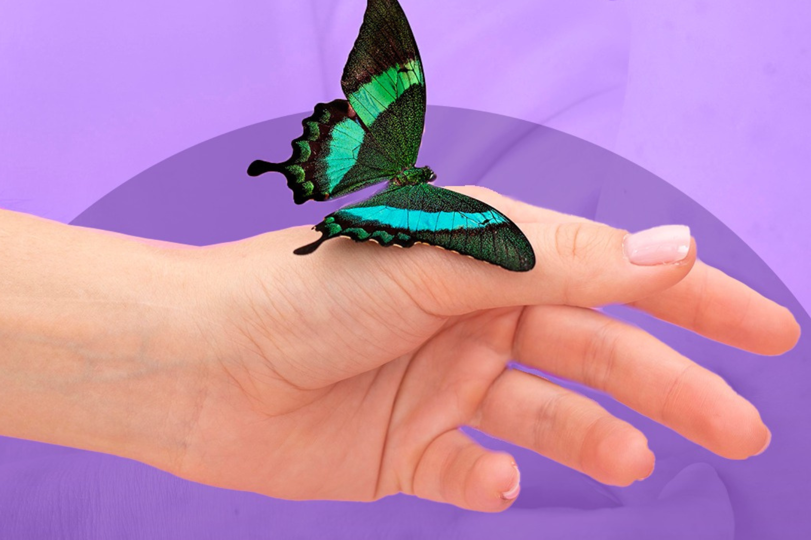 Lupus Roxo Maio roxo: Como reconhecer o lúpus – Acil